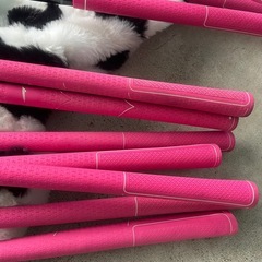 ワールドイーグル WORLD EAGLE FL-01 VS2　FLEX　L アイアン レディース ゴルフクラブ 10本の画像