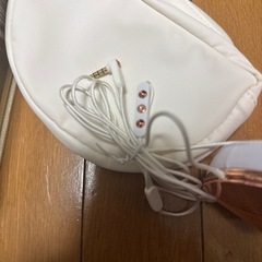 未使用Taylor ヘッドホンポーチ付きイヤホンの画像