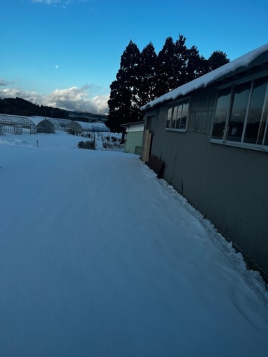 除雪・排雪   うけたまわります