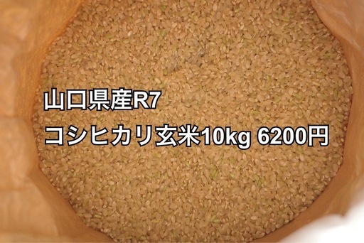 【決まりました】山口県産R7コシヒカリ玄米10kg 6,200円