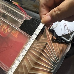 コレクションボックスの画像