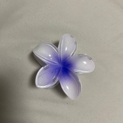 ヘアクリップの画像