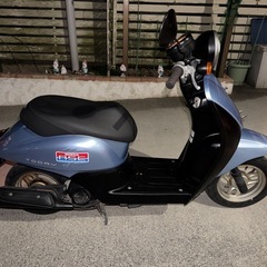 トゥデイの画像