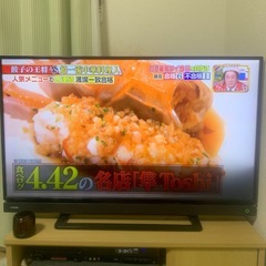 東芝　REGZA40S20の画像