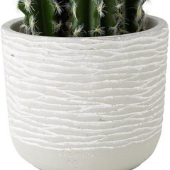 ニトリ フェイクグリーン ハシラササボテンの画像