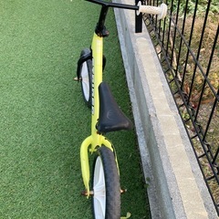 ストライダー  限定カラーの画像