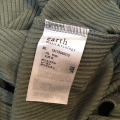 earth テレコプルオーバー　グリーン カーキ　Mサイズ　カットソー　Tシャツの画像