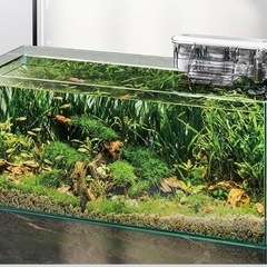 【美品】観賞魚用グラステリアスリム600の画像