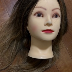 カラーウィッグの画像