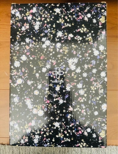 BE@RBRICK ANEVER BLACK 100％ & 400％