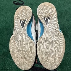 Nike air　Zoom 26cmの画像