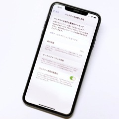 スマホ11promax256の画像