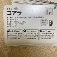 動物カードの画像