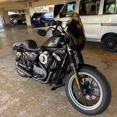 ハーレーダビッドソン　2008年式　XL1200N スポーツスター　カスタム　クラブスタイルの画像