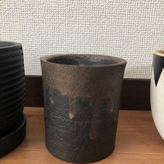 塊根植物 鉢 セット売りの画像