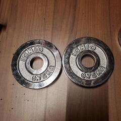 IGNIO 0.75kg プレート2枚 28mm用の画像