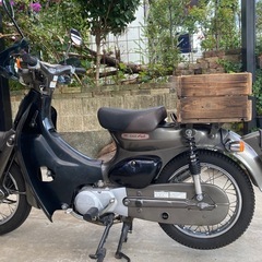 リトルカブの画像