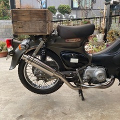 リトルカブの画像