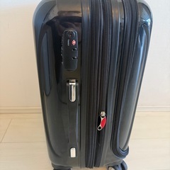 Delsey Helium Aero　デルセー　Sサイズ　42Lの画像