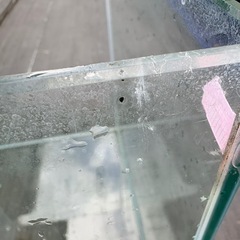 30cmキューブ水槽の画像