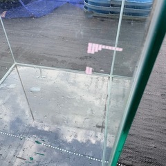 30cmキューブ水槽の画像