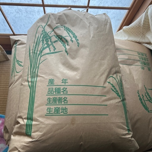 玄米 令和7年度産