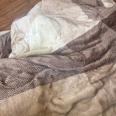 こたつテーブルの画像