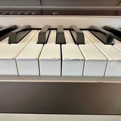 CASIO 電子ピアノ Privia PX-100 88鍵 ペダル・AC付の画像