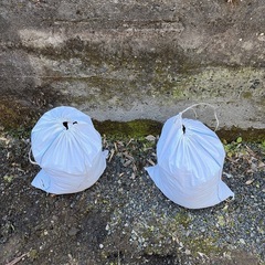 ブロック　土　差し上げますの画像