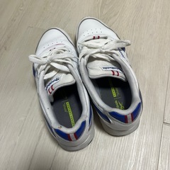 レディース　スニーカーの画像