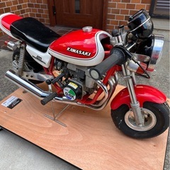 ポケバイ　　日本ライフ　Z II仕様の画像