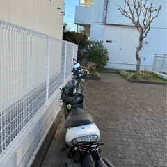 アドレスv125の画像