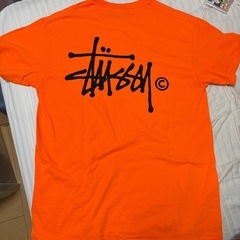 【中古品だけど美品！】STUSSYのTシャツの画像