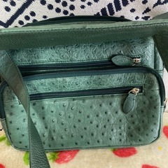 緑色オーストリッチ ショルダーバッグの画像