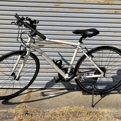 ブリヂストンCYLVAの画像