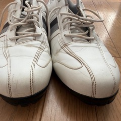 ゴルフシューズ　メンズ　27.0cm ミズノの画像