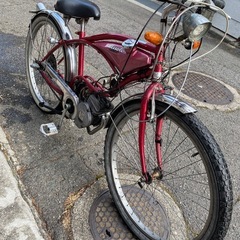 フキ､プランニング　ビーチクルーザーの画像