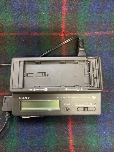 GV-D300 ソニーデジタルビデオカセットレコーダー (ポロカ) 桜木の映像