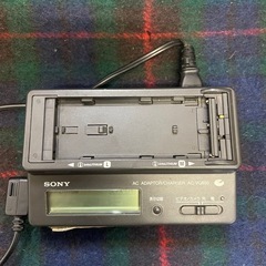 GV-D300 ソニーデジタルビデオカセットレコーダー (ポロカ) 桜木の映像