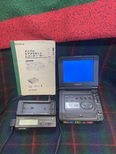 GV-D300 ソニーデジタルビデオカセットレコーダー (ポロカ) 桜木の映像