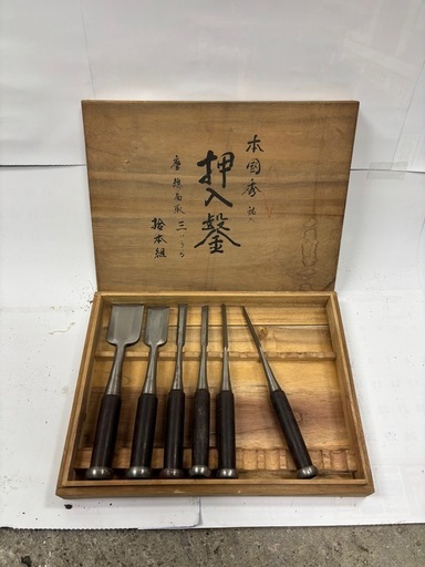 ノミ箱入り