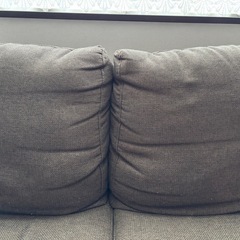 ソファ　ニトリ　2人がけの画像