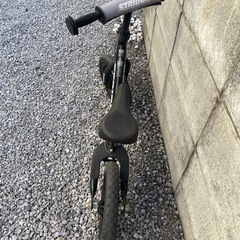 ストライダー　ブラック
の画像