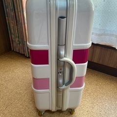 スーツケースMIGRANT sサイズの画像