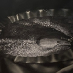 防寒ラバー長靴　オリーブドラブ色の画像