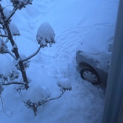 車スタックしてしまいました