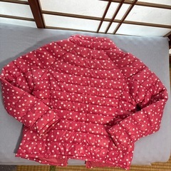 UNIQLOダウンの画像