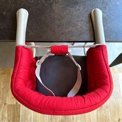 イングリッシーナ　レッドの画像