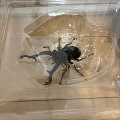 一番くじ　クワガタの画像