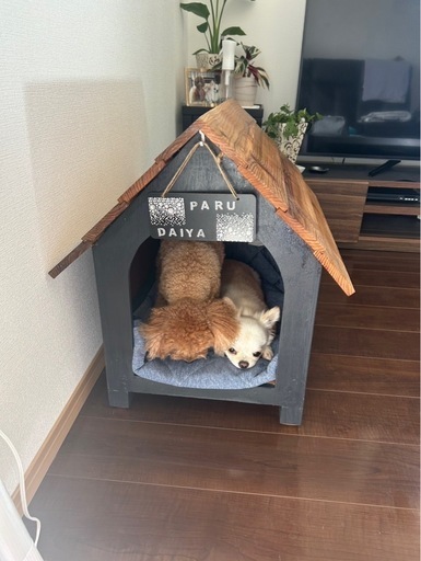 犬小屋